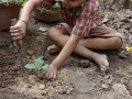 Tree-plantation-by-the-Kindergarten-kids